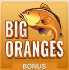 Big Oranges Bonus Symbol